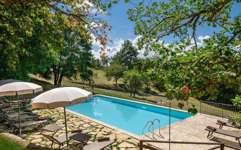 Villa Lucarella: Have, pool, Udendørs