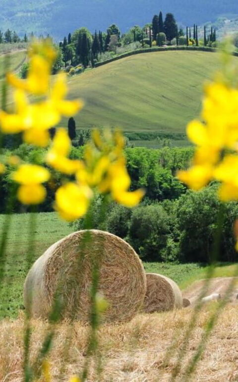 Palazzo Bello: Udendørs