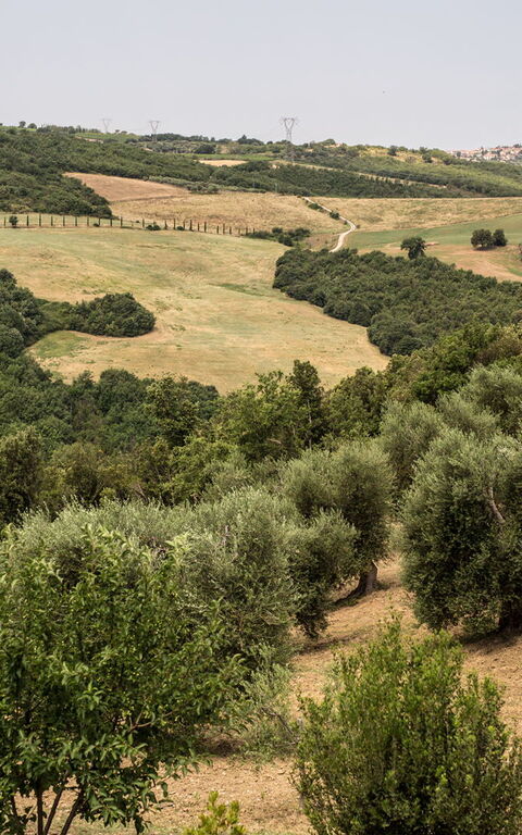 Villa Chiugi: Visninger
