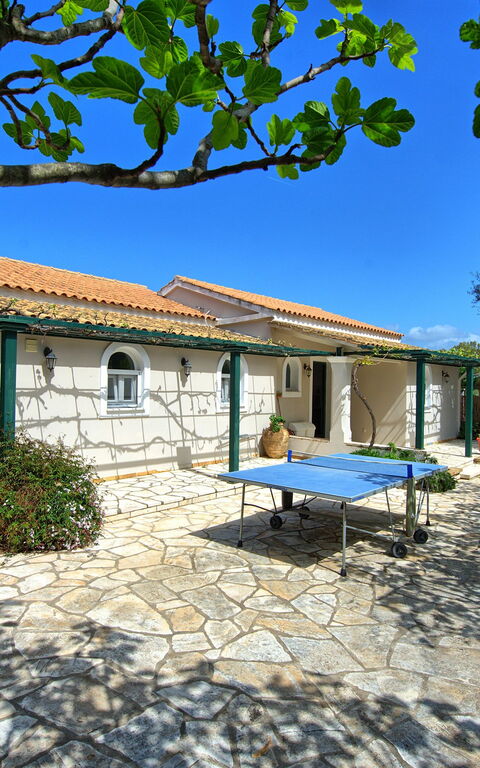 Votana House: Have, Udvendige