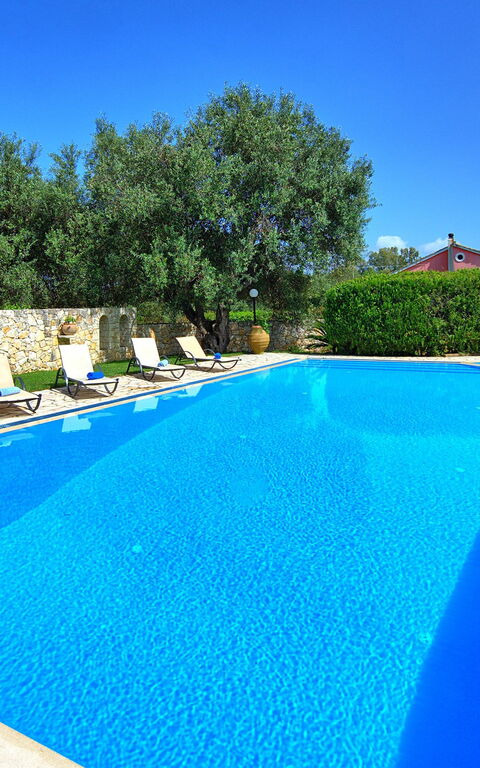 Votana House: pool