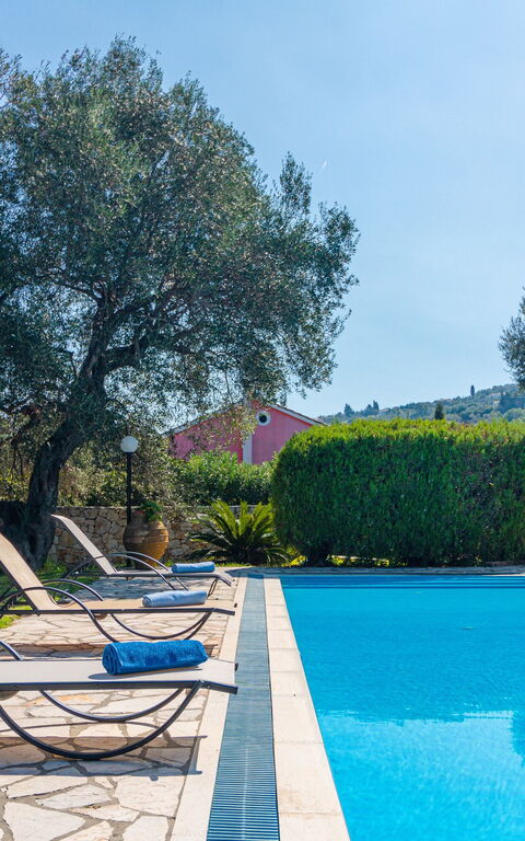 Votana House: Have, pool, Sommer, Udendørs