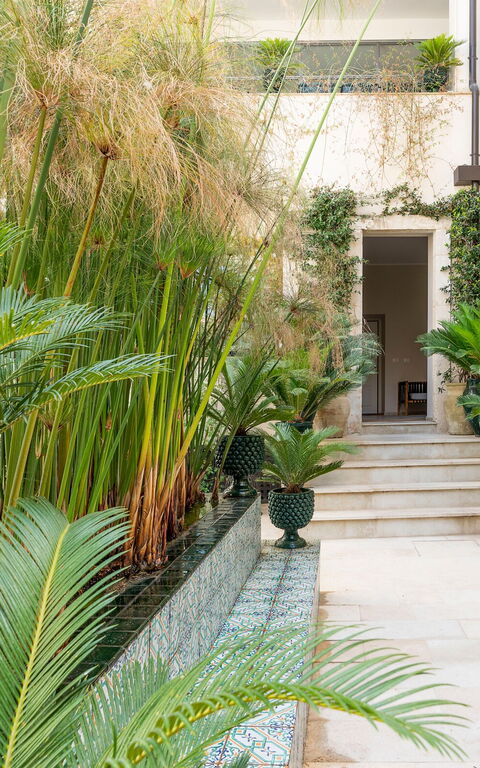 Aurispa: Altan / terrasse / gårdhave, Udendørs