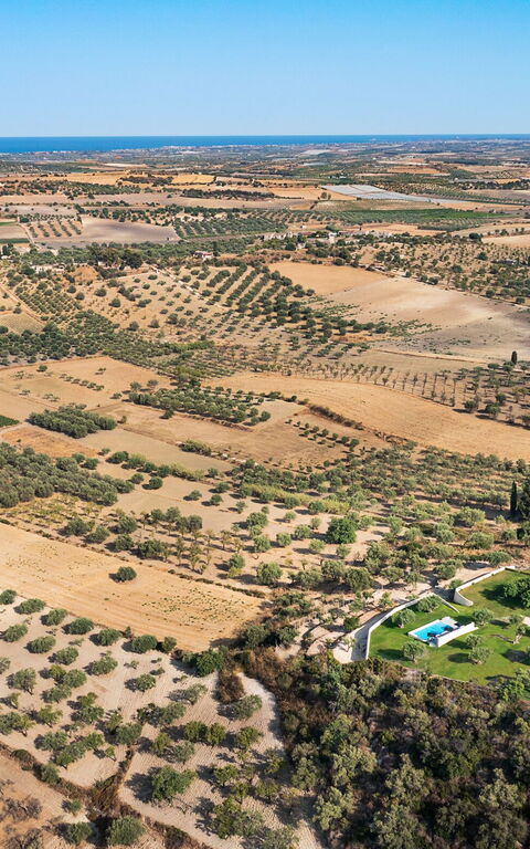 Villa Colleverde: Visninger