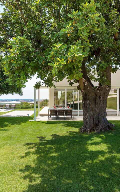 Villa Colleverde: Have, Udendørs