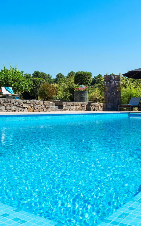 Villa Palmento Rosa: pool