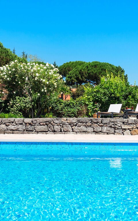 Villa Palmento Rosa: pool