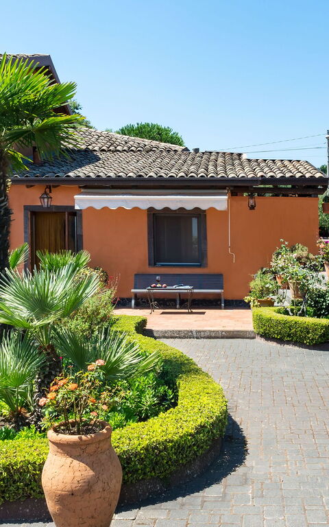 Villa Palmento Rosa: Udendørs, Udvendige