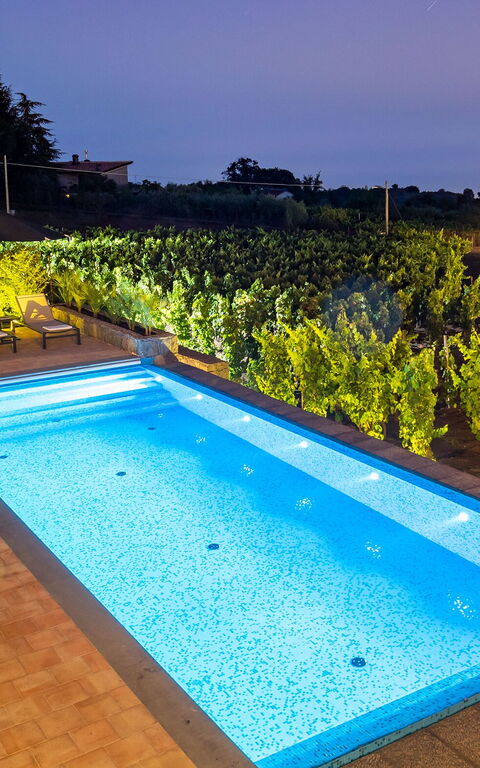 Villa Palmento Rosa: Have, pool