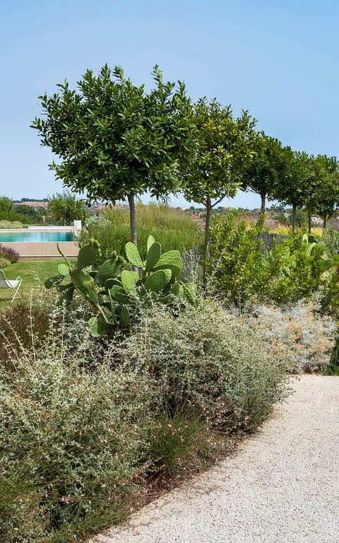 Villa Meravilla: Have, Udendørs