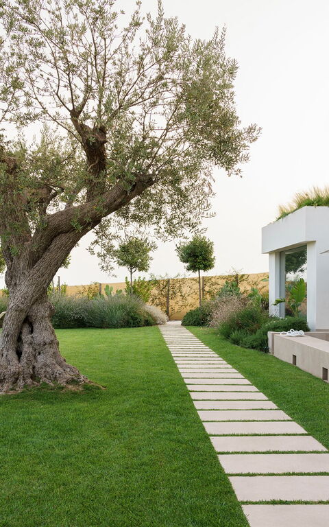 Villa Meravilla: Have, Udendørs, Udvendige