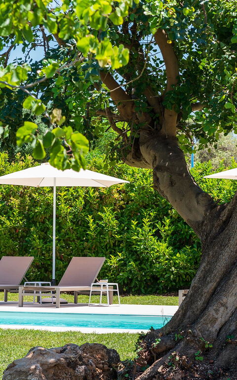 Villa Girasole: Udendørs