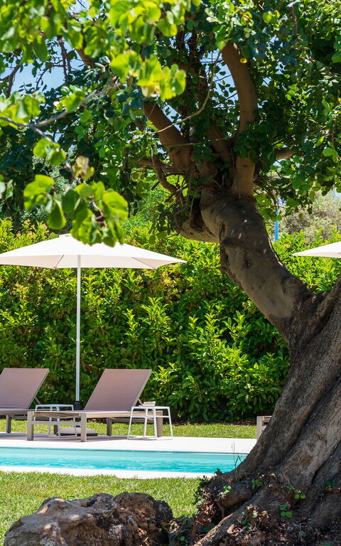 Villa Girasole: Have, pool