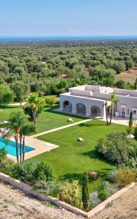 Villa Bellavista: Have, pool, Visninger