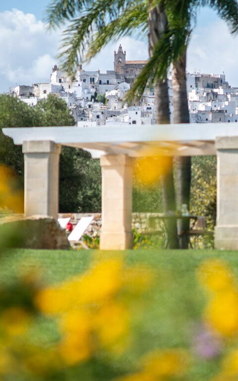 Villa Bellavista: Have, Udendørs, Visninger