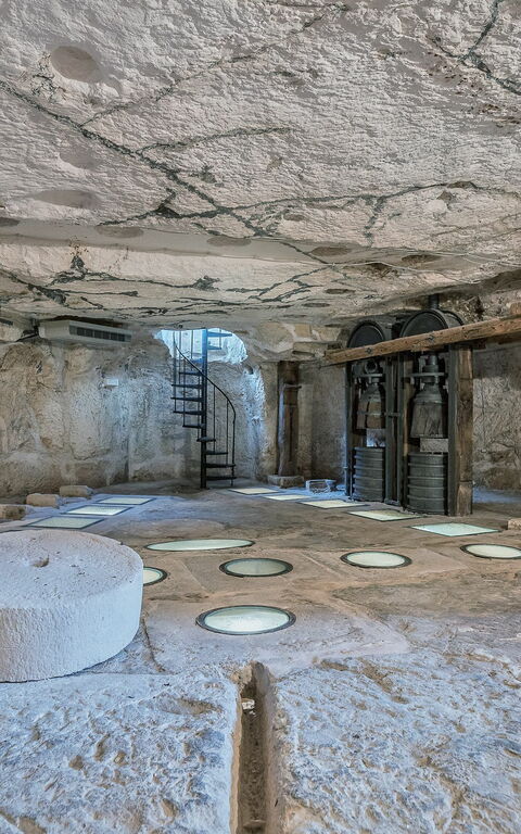 Masseria Villa Il Frantoio