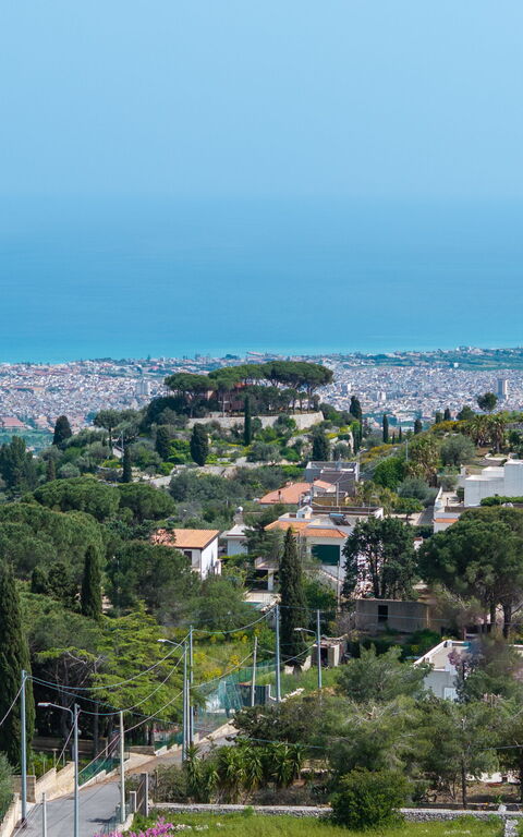 Villa Pica: Visninger