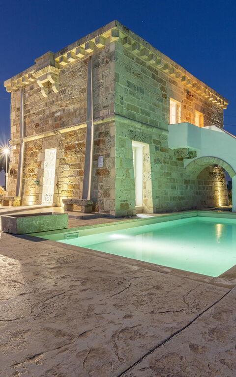 Villa Turris: Have, pool