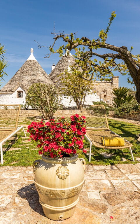 Trullo Patricia Pool: Have, Udvendige