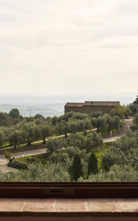 Casa Lionardo: Visninger