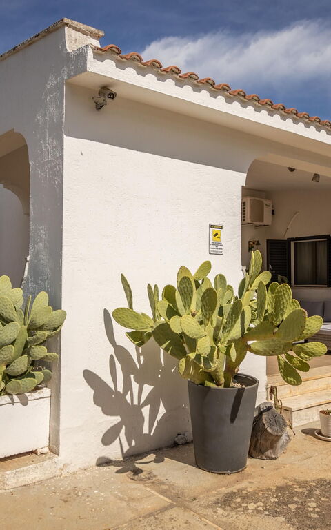 Villa Natura: Altan / terrasse / gårdhave, Hovedindgang, Udvendige