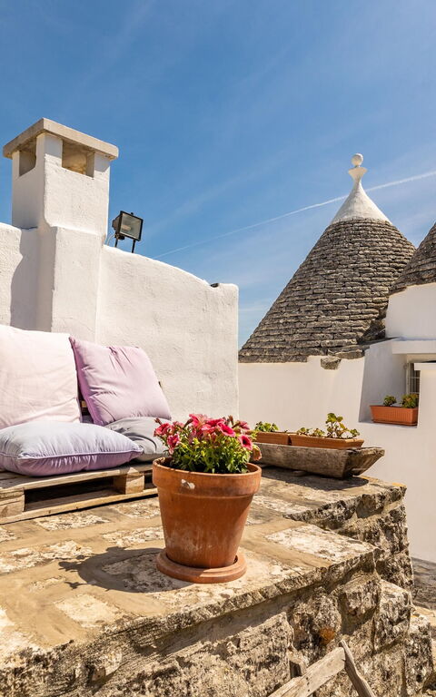 Tenuta Minnea: Udendørs, Udvendige, Visninger