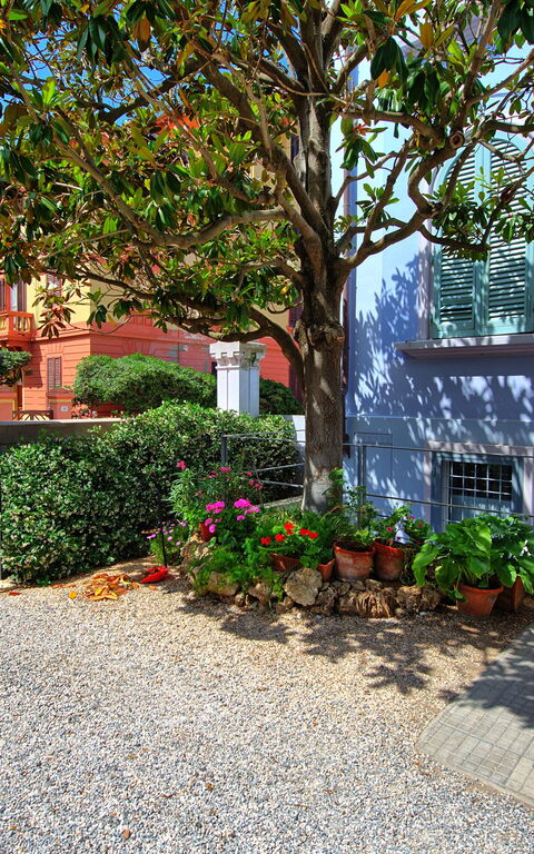 Casa Riva: Udendørs