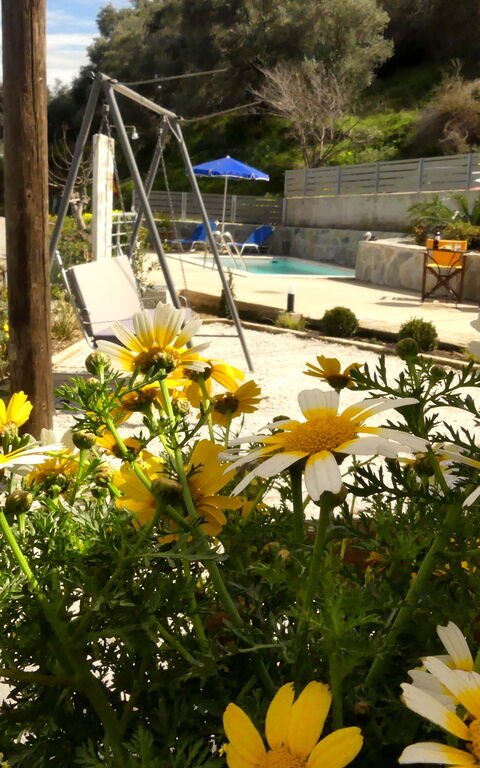 Aretousa: Have, Visninger