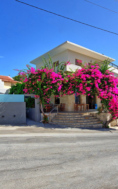 Casa Cafenio: Udendørs