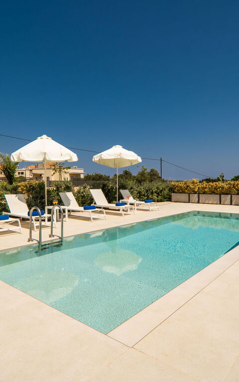 Iris: Have, pool, Udendørs