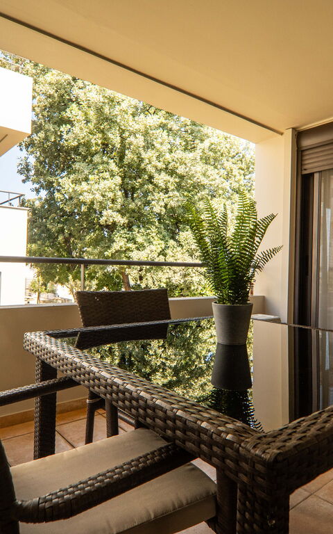 Dioni: Have, pool, Udendørs