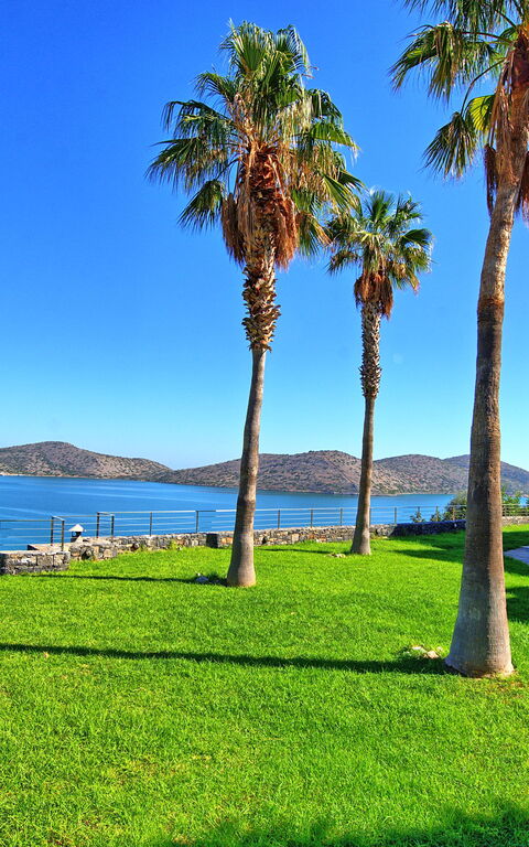 Villa Marina: Have, Udendørs, Visninger