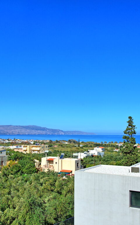 Villa Flora: Visninger