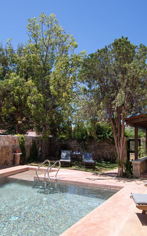 Villa Giani: Altan / terrasse / gårdhave, Have, pool