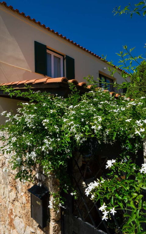 Villa Giani: Have, Udvendige