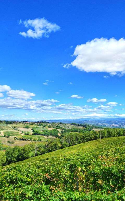 Montauto: Udendørs, Visninger