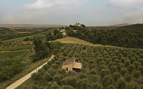 Feriebolig Capanna: Visninger