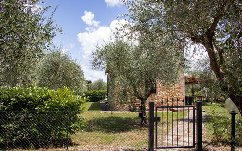 Feriebolig Capanna: Have, Udvendige