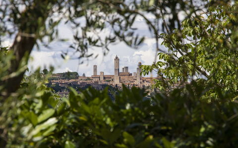 Feriebolig Capanna: Visninger