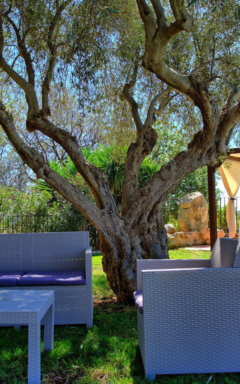 Villa Maddalena: Have, Udendørs, Udvendige