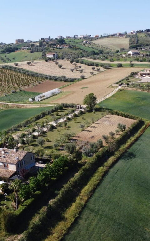 Villa Vittoria: Udendørs