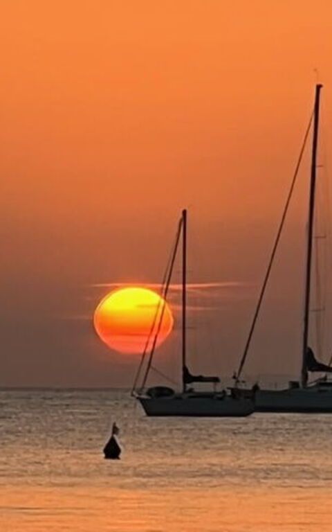 Villa Dolce Vita: Aktiviteter, Udendørs