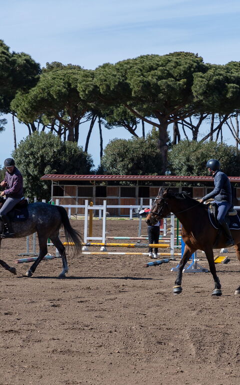 Villa Dolce Vita: Aktiviteter, Udendørs