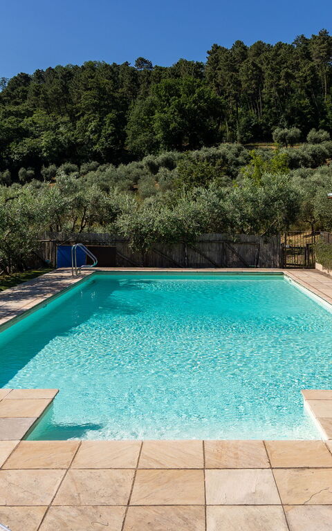 Villa Bellostare: pool, Udendørs
