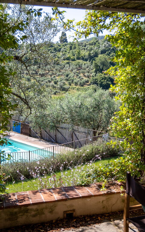 Villa Bellostare: Have, pool, Udendørs