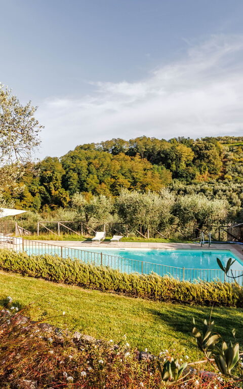 Villa Bellostare: Have, pool, Sommer, Udendørs, Visninger