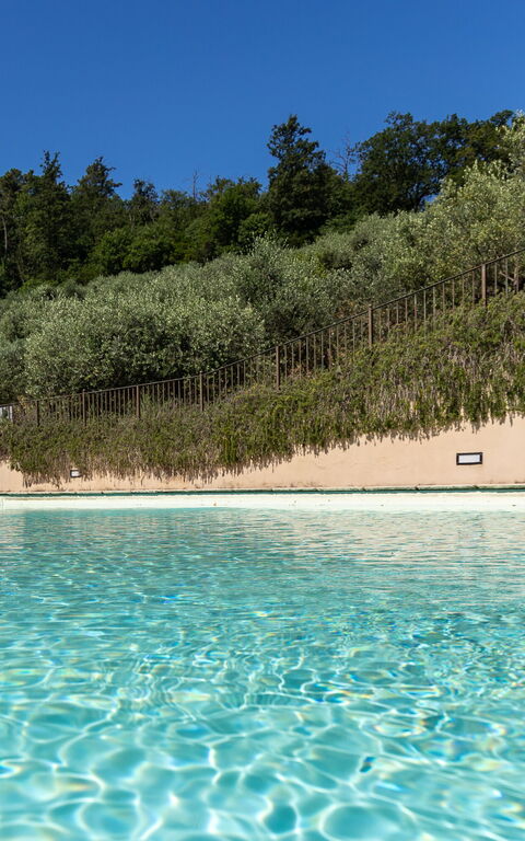 Villa Bellostare: pool, Udendørs