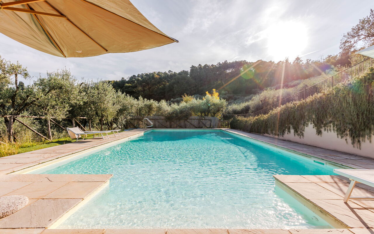 Villa Bellostare: Have, pool, Udendørs