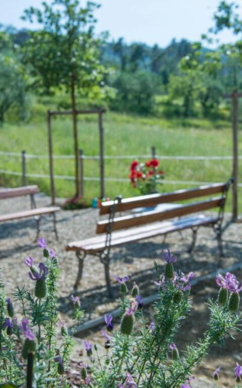 Bello Stare: Udendørs, Udvendige