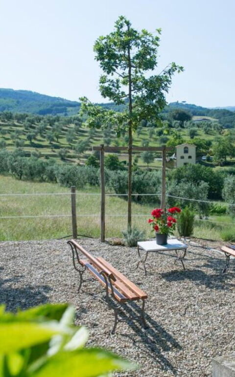 Bello Stare: Udendørs, Udvendige